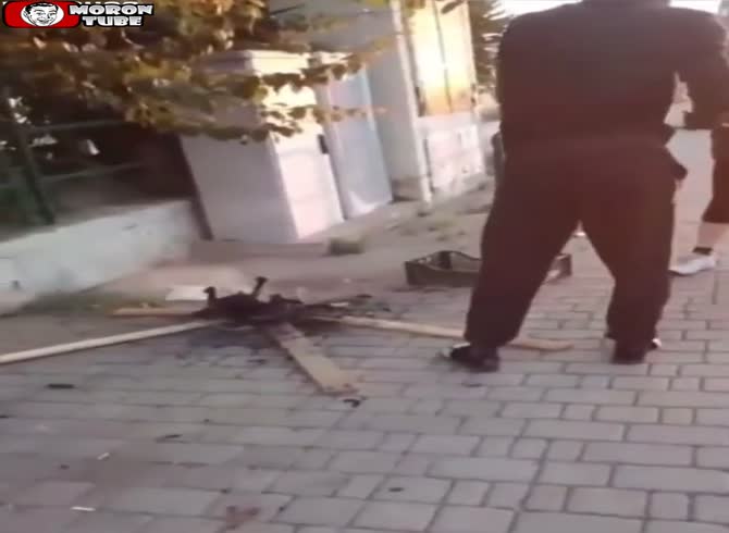 Video :In Italy, an African immigrant was observed grilling a cat